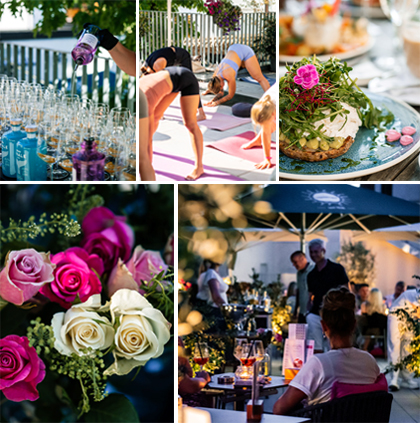 Collage Eventkalender 2026